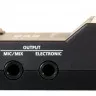Roland EC10M