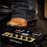 Roland EC10M