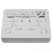 Yamaha FGDP-30