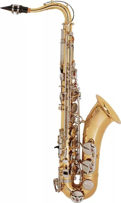 Selmer TS500 Selmer TS500