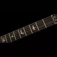 PRS SE CUSTOM 24 FLOYD (CHARCOAL BURST) 2023