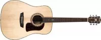 Washburn HD80 S