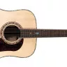 Washburn HD80 S