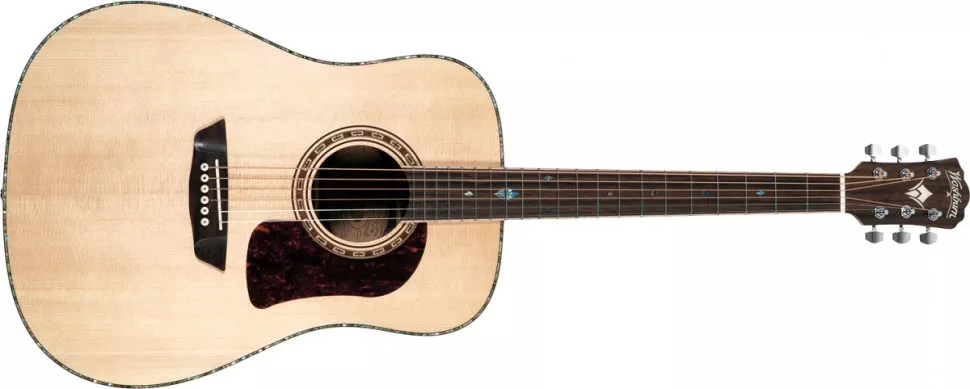 Washburn HD80 S