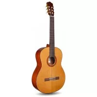Cordoba C5