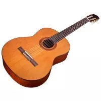 Cordoba C5