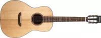 Washburn WP33SRS