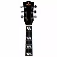 Sigma DM-SG5 (Fishman Sonitone)