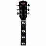 Sigma DM-SG5 (Fishman Sonitone)