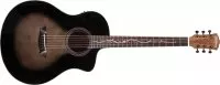 Washburn VITE S9V