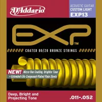 D'Addario EXP13