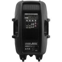 Omnitronic VFM215AP