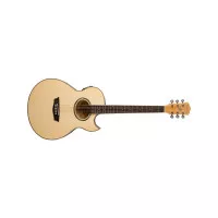 Washburn EA20 TS