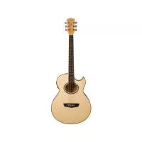 Washburn EA20 TS