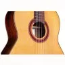 Cordoba C7 CD
