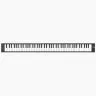 Blackstar CARRY ON Folding Piano 88 (Black)