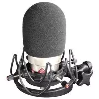 Rycote Foam Neumann TLM 102 - (Single)