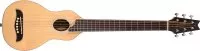 Washburn RO10SK
