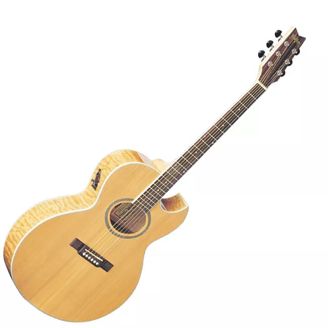 Washburn EA20 Washburn EA20