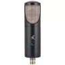 sE Electronics RNT