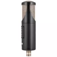 sE Electronics RNT