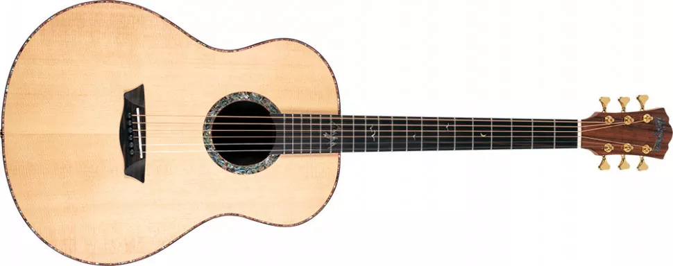 Washburn ELEGANTE S24S Washburn ELEGANTE S24S