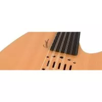 Godin 035014 - Multi Oud Ambiance Nylon Natural HG with case