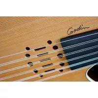Godin 035014 - Multi Oud Ambiance Nylon Natural HG with case