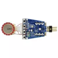 sE Electronics T2(P)