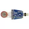 sE Electronics T2(P) sE Electronics T2(P)