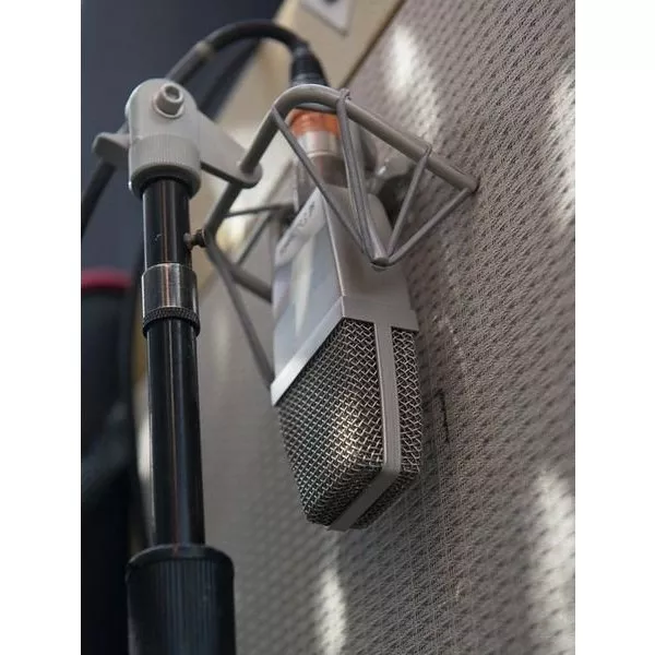 sE Electronics T2(P) sE Electronics T2(P)