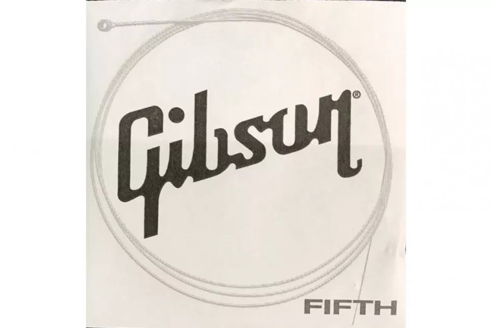 Gibson SEG-700ULMC FIFTH SINGLE STRING ACOUSTIC 036