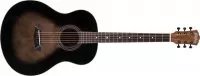 Washburn NOVO S9