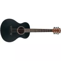 Washburn AGM5BMK