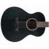 Washburn AGM5BMK Washburn AGM5BMK