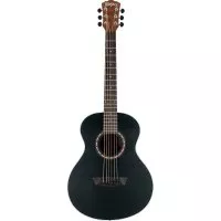 Washburn AGM5BMK