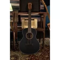 Washburn AGM5BMK