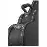 Carpathian Tenor Ukulele Case 26"