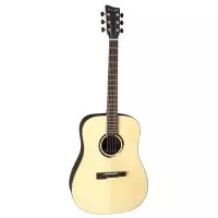 VGS R-10 Rose