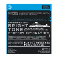 D'Addario ESXL110