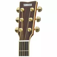 Yamaha LL16M ARE