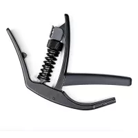 Planet Waves PWCP10
