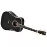 Sigma DT-42 Nashville (Fishman Sonitone)