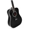 Sigma DT-42 Nashville (Fishman Sonitone)
