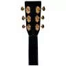 Sigma DT-42 Nashville (Fishman Sonitone)