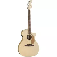 Fender NEWPORTER PLAYER CHP