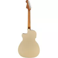 Fender NEWPORTER PLAYER CHP
