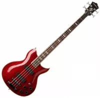 Washburn WB66 TRK