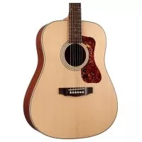 Guild D-240E NAT