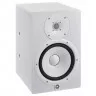 Yamaha HS8IW